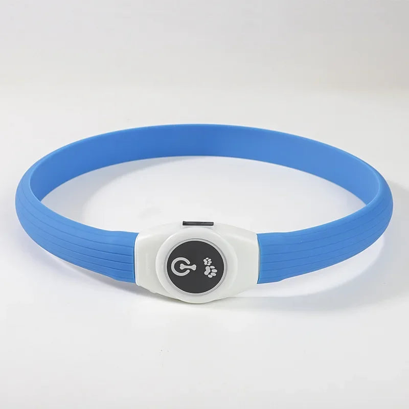 LED Luminous Dog Collar — USB Rechargeable & Waterproof