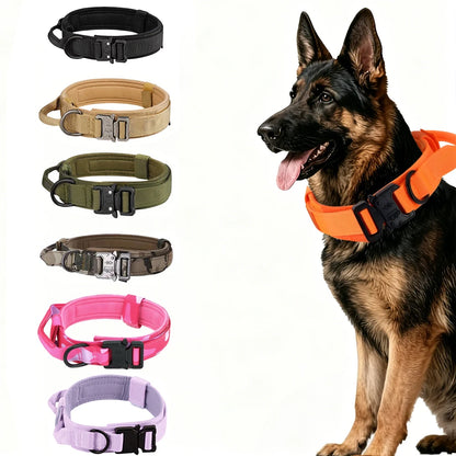 Tactical Dog Collar — Built Tough for Active Dogs