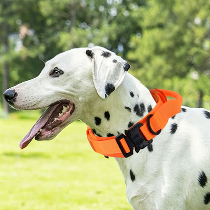 Tactical Dog Collar — Built Tough for Active Dogs