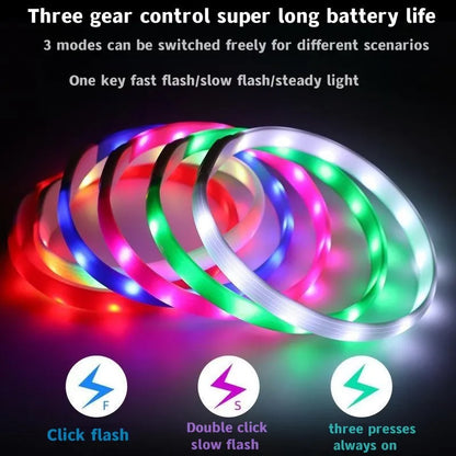 LED Luminous Dog Collar — USB Rechargeable & Waterproof