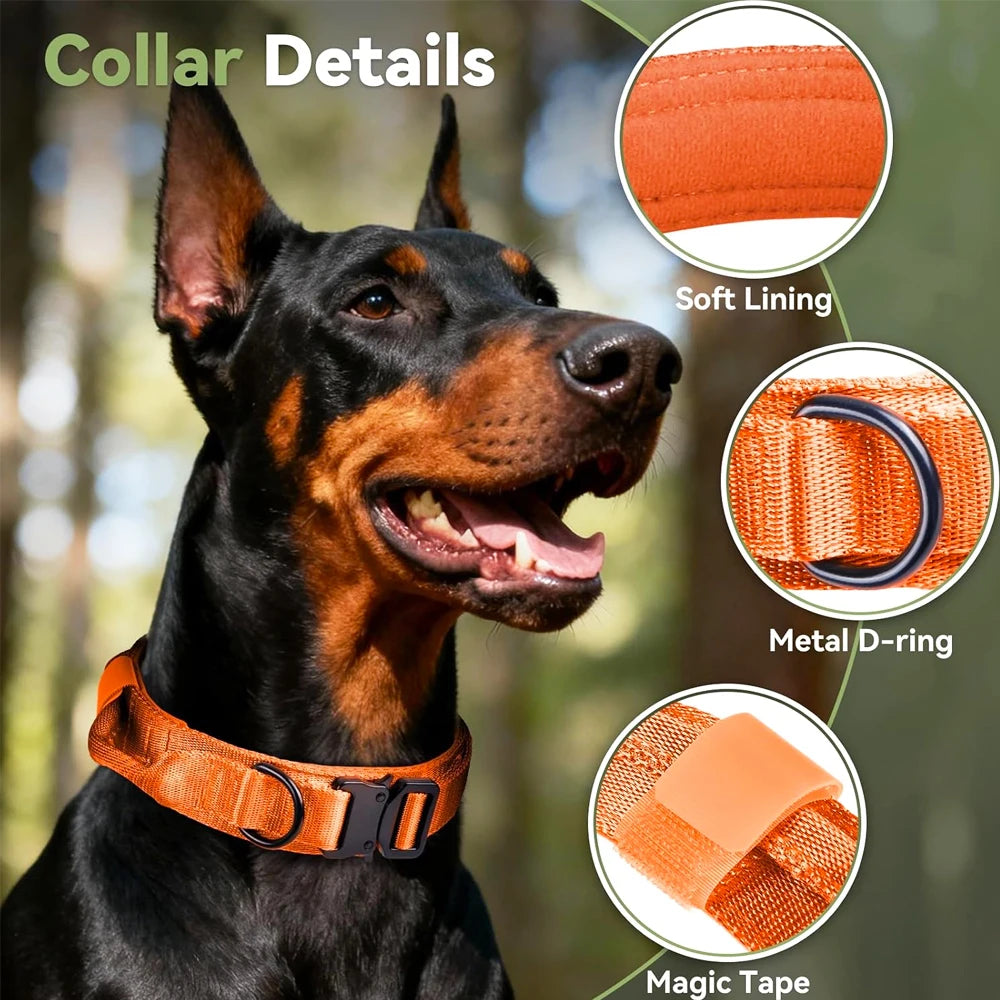Tactical Dog Collar — Built Tough for Active Dogs