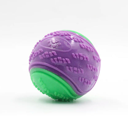 Squeaky TPR Dog Ball Toy — Teeth Cleaning & Bite Resistant