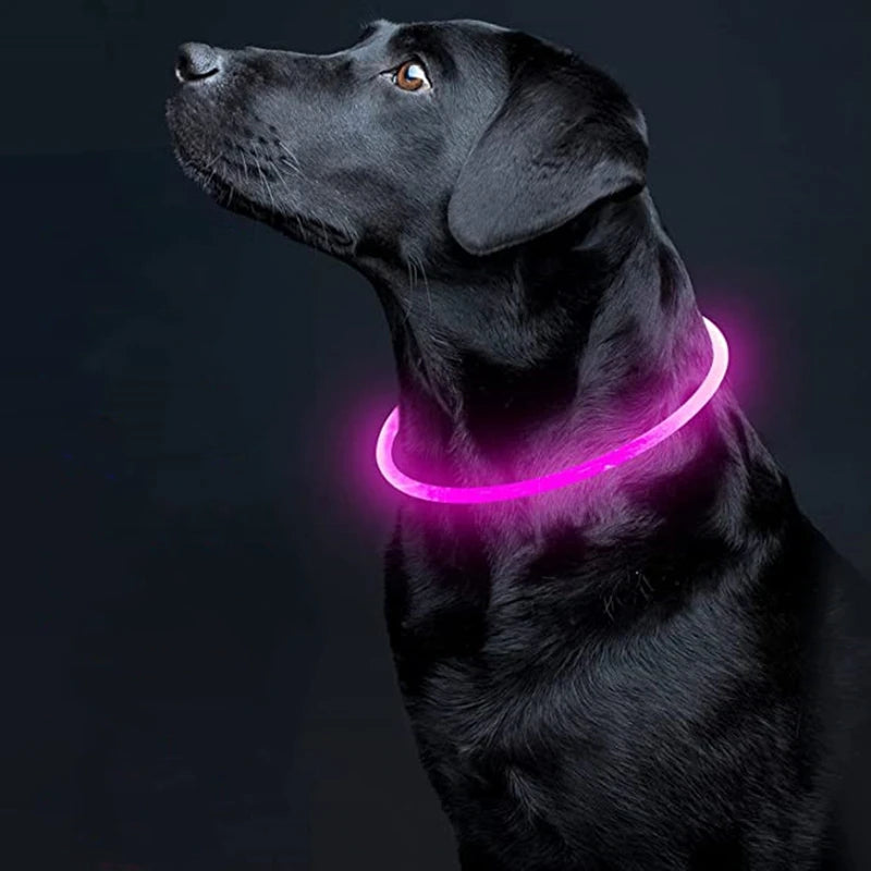 LED USB Rechargeable Dog Collar – Glowing Safety Collar for Night Walks