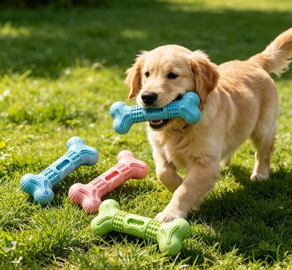 TPR Bone-Shaped Dog Teeth Cleaning Chew Toy Set