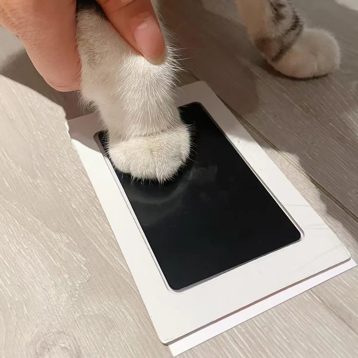 Pet Paw Print Ink Pad Kit — Safe & Non-Toxic