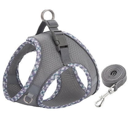 Reflective Dog Harness & Leash Set – Breathable Mesh Vest for Small & Medium Dogs