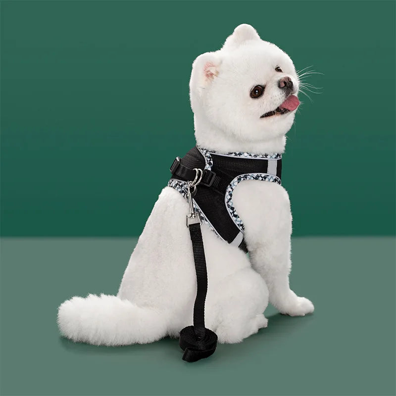 Reflective Dog Harness & Leash Set – Breathable Mesh Vest for Small & Medium Dogs