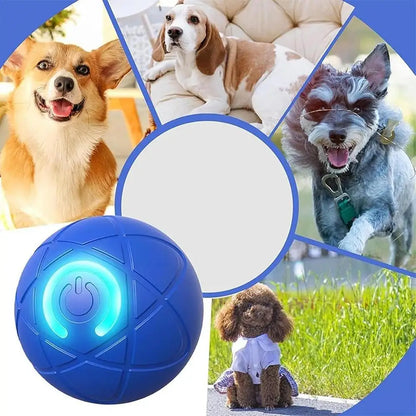 Interactive Auto-Rolling Ball Dog Toy – USB Rechargeable LED Shaky Ball for Dogs & Puppies