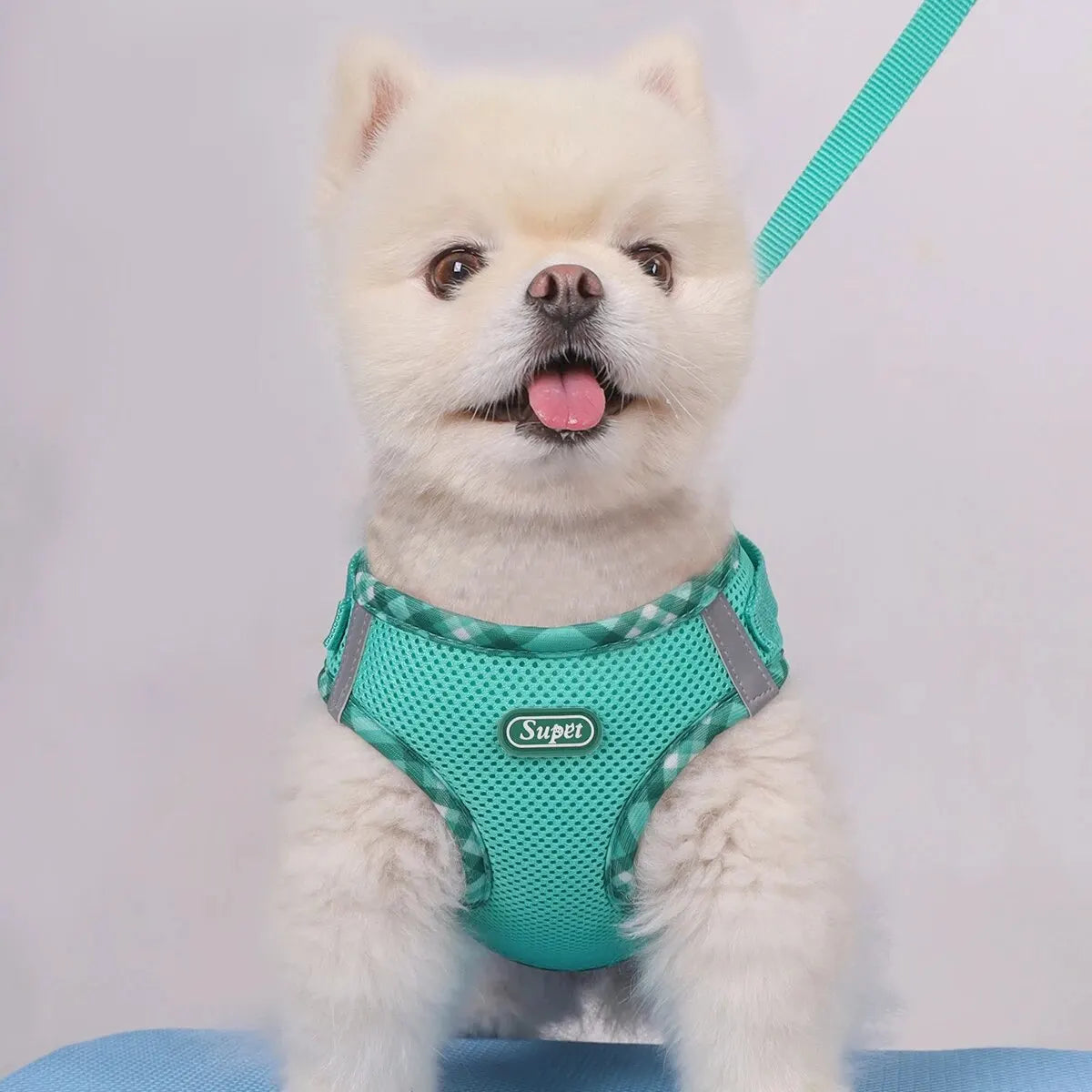 Supet Anti-Pull Dog Harness — Adjustable for Small & Medium Dogs