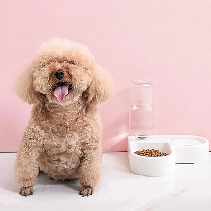 Gravity Pet Feeder Bowl — 500ml Auto Refill for Dogs & Cats