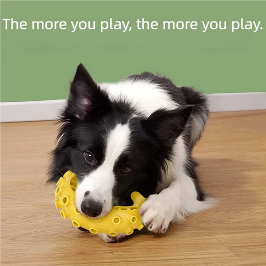 TPR Bite-Resistant Dog Toy — Dental Cleaning