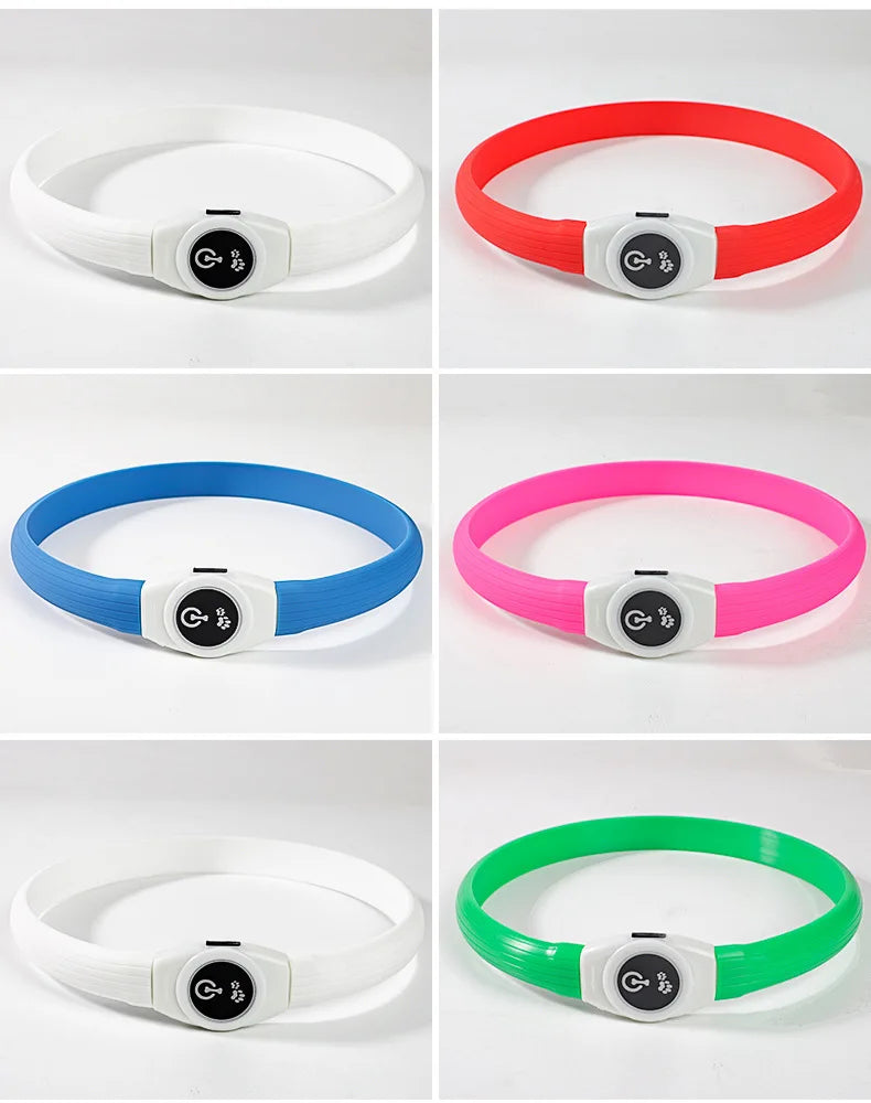 LED Luminous Dog Collar — USB Rechargeable & Waterproof