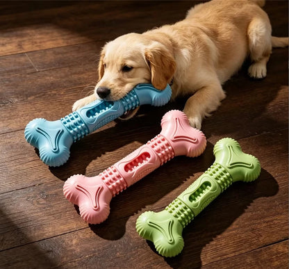 TPR Bone-Shaped Dog Teeth Cleaning Chew Toy Set