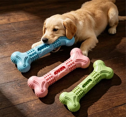 TPR Bone-Shaped Dog Teeth Cleaning Chew Toy Set