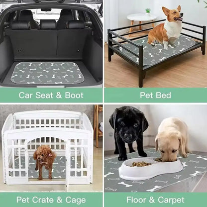 Washable Dog Pee Pad — Absorbent & Leak-Proof Training Mat