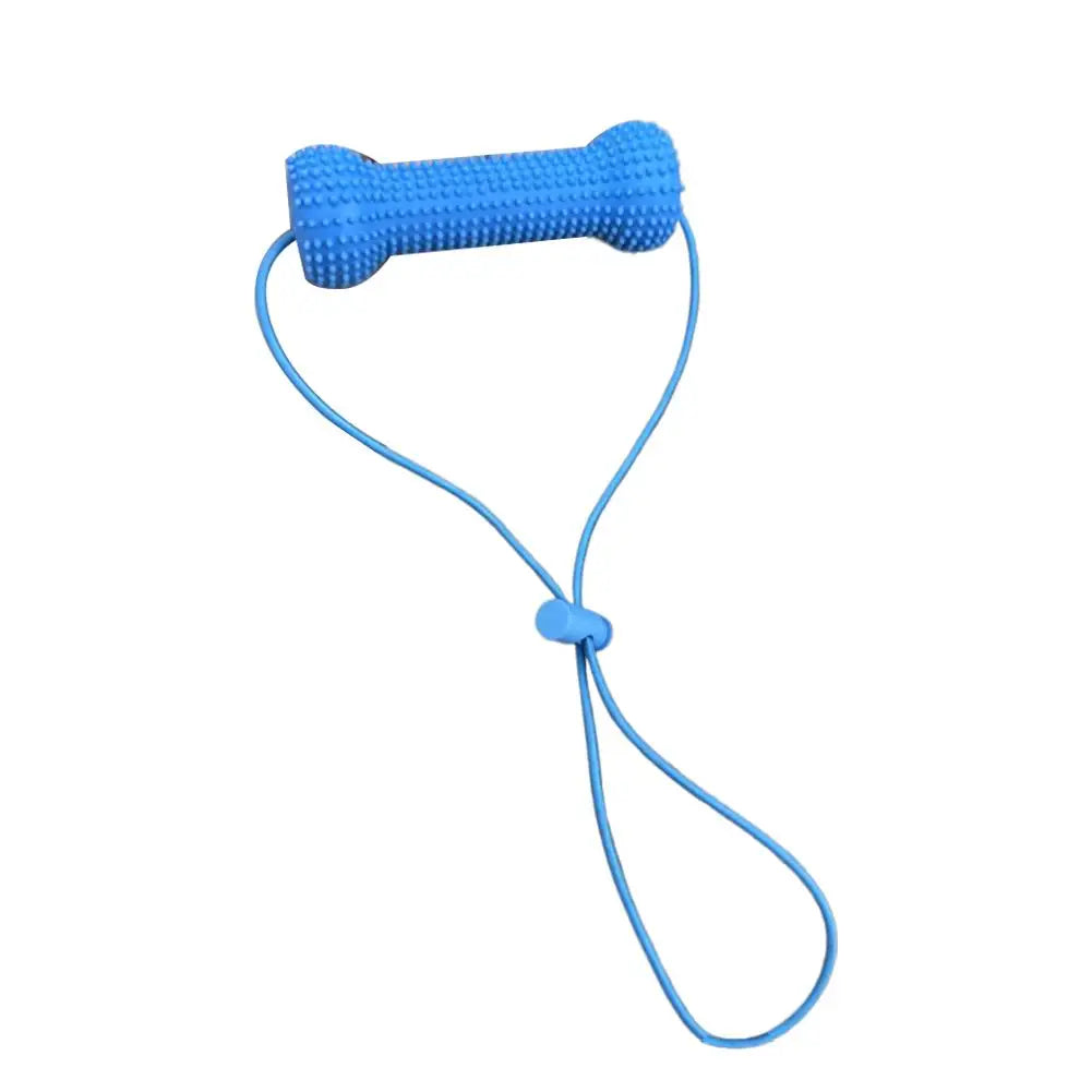 Interactive Dog Teething Stick with Lanyard