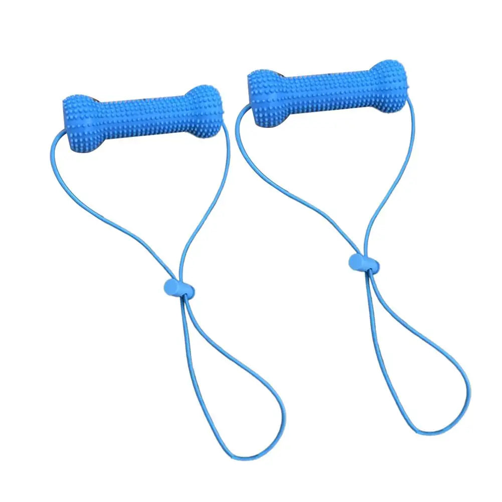 Interactive Dog Teething Stick with Lanyard