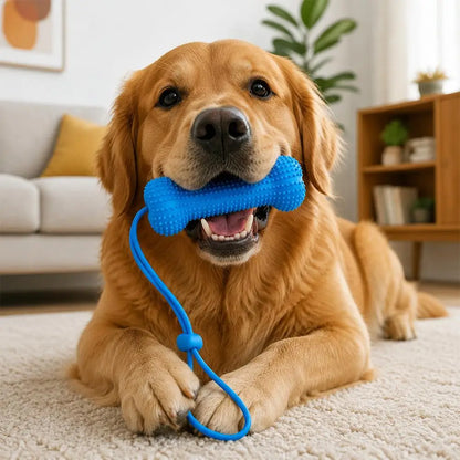 Interactive Dog Teething Stick with Lanyard