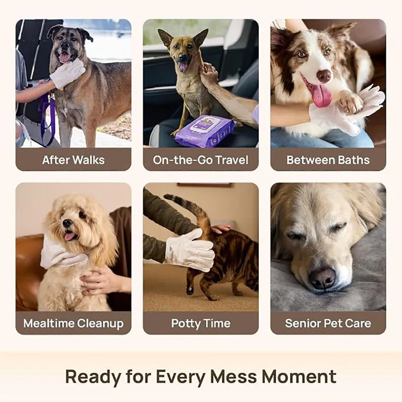 Aloe Pet Grooming Glove Wipes – Rinse-Free Moisturizing & Deodorizing Wipes for Dogs, Cats & Horses