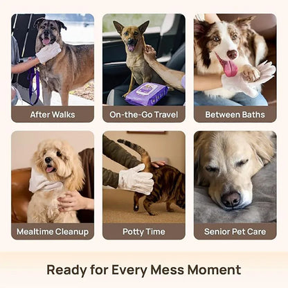 Aloe Pet Grooming Glove Wipes – Rinse-Free Moisturizing & Deodorizing Wipes for Dogs, Cats & Horses