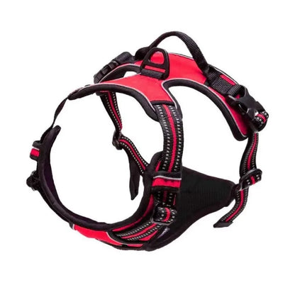 ComfortFit Harness Set — Walk Farther, Pull Less