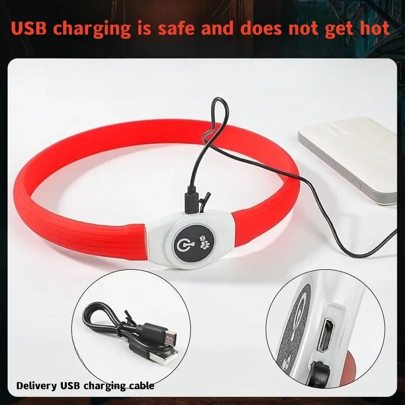 LED Luminous Dog Collar — USB Rechargeable & Waterproof