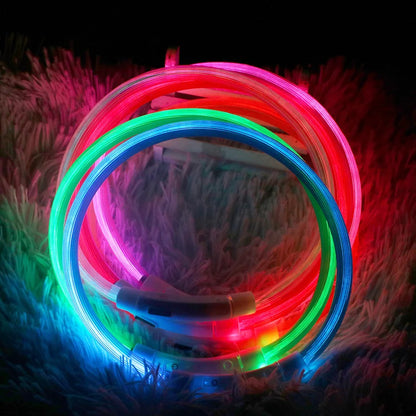 LED USB Rechargeable Dog Collar – Glowing Safety Collar for Night Walks