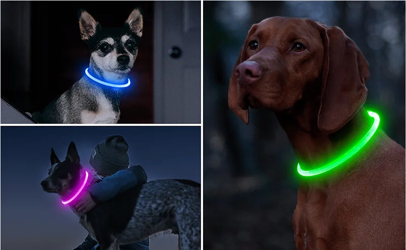 LED USB Rechargeable Dog Collar — Night Safety Glow