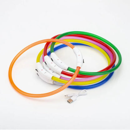 LED USB Rechargeable Dog Collar — Night Safety Glow