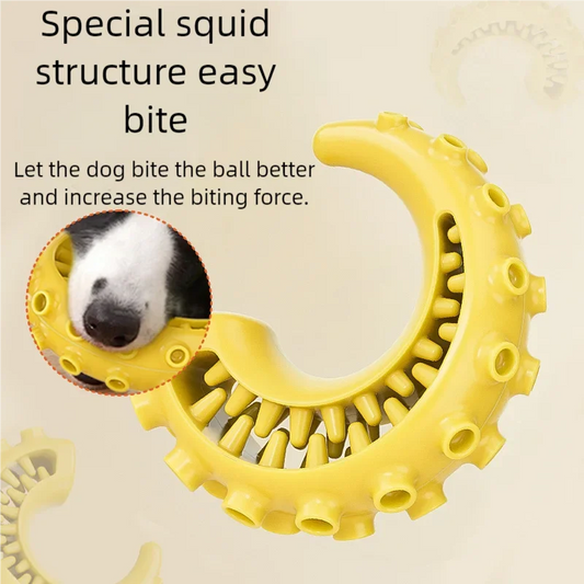 TPR Bite-Resistant Dog Toy — Dental Cleaning