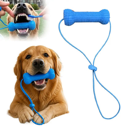 Interactive Dog Teething Stick with Lanyard