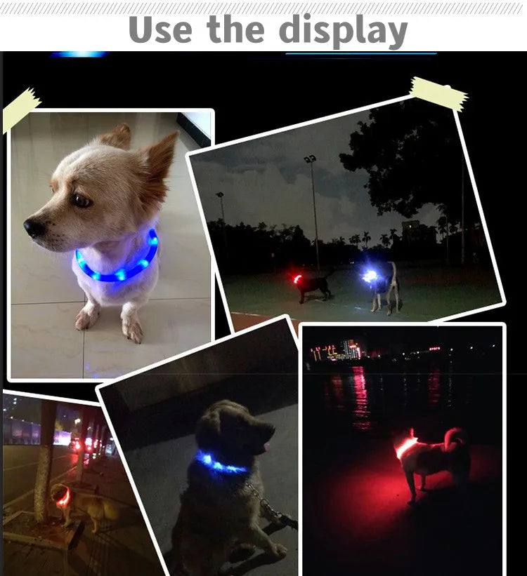 LED Luminous Dog Collar — USB Rechargeable & Waterproof