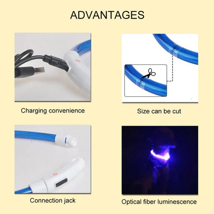 LED USB Rechargeable Dog Collar — Night Safety Glow