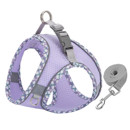 Reflective Dog Harness & Leash Set – Breathable Mesh Vest for Small & Medium Dogs