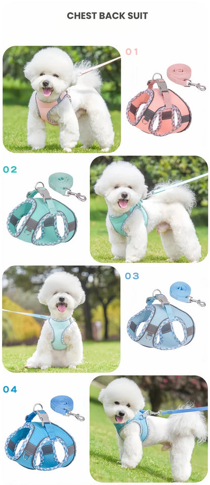 Reflective Dog Harness & Leash Set – Breathable Mesh Vest for Small & Medium Dogs