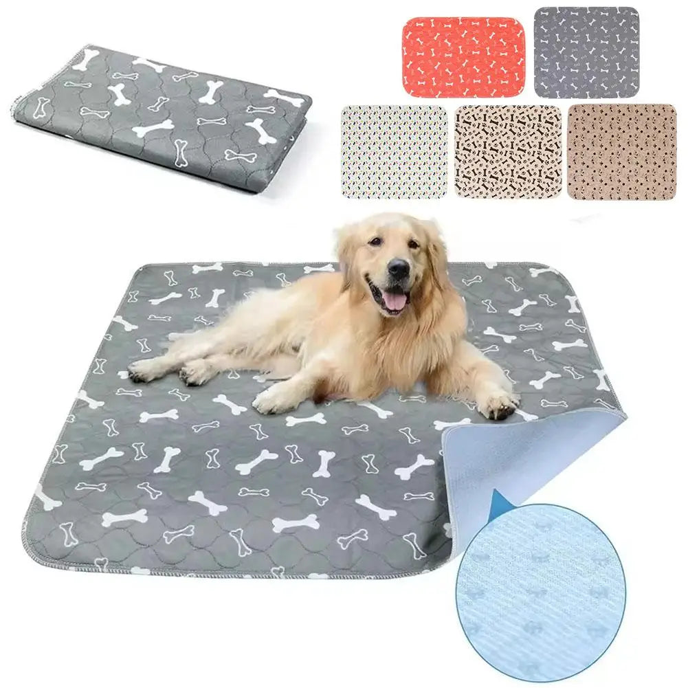 Washable Dog Pee Pad — Absorbent & Leak-Proof Training Mat