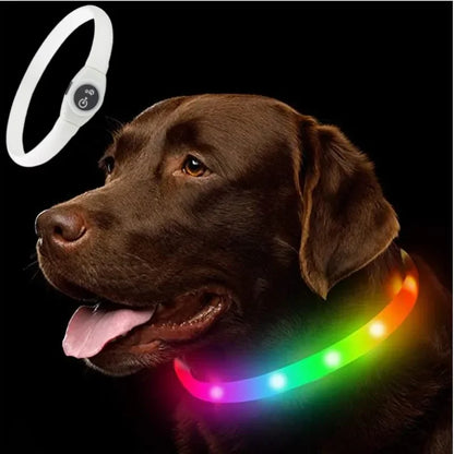 LED Luminous Dog Collar — USB Rechargeable & Waterproof
