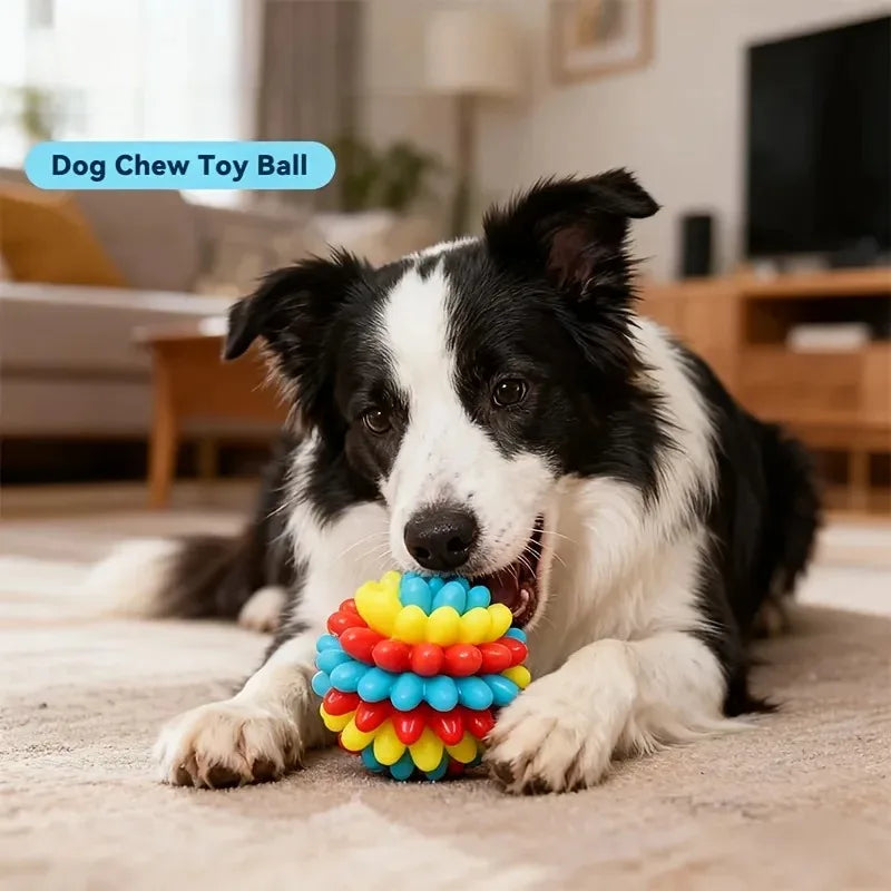 Indestructible TPR Dog Chew Toy — Soft Training Ball