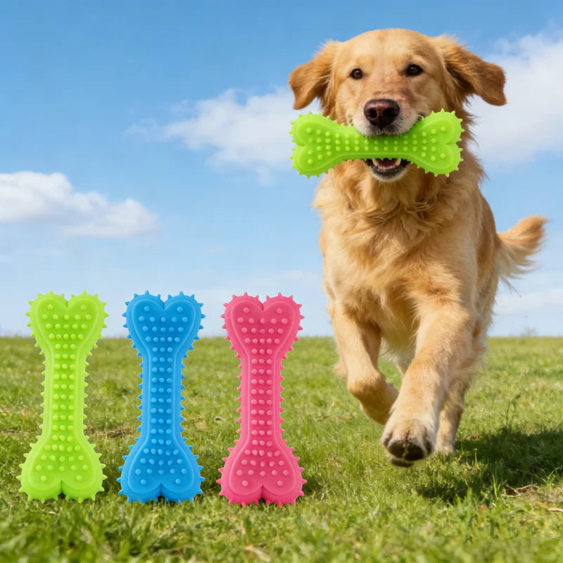 Non-Toxic Rubber Puppy Teething Chew Toy