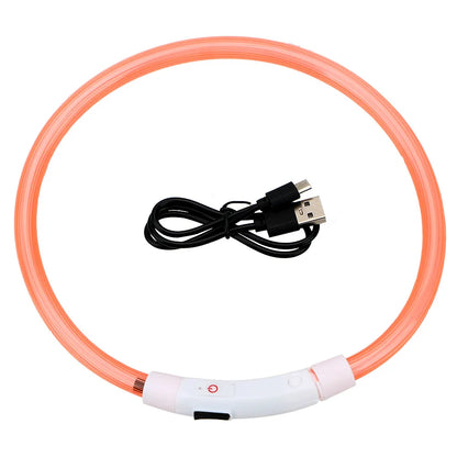 LED USB Rechargeable Dog Collar — Night Safety Glow