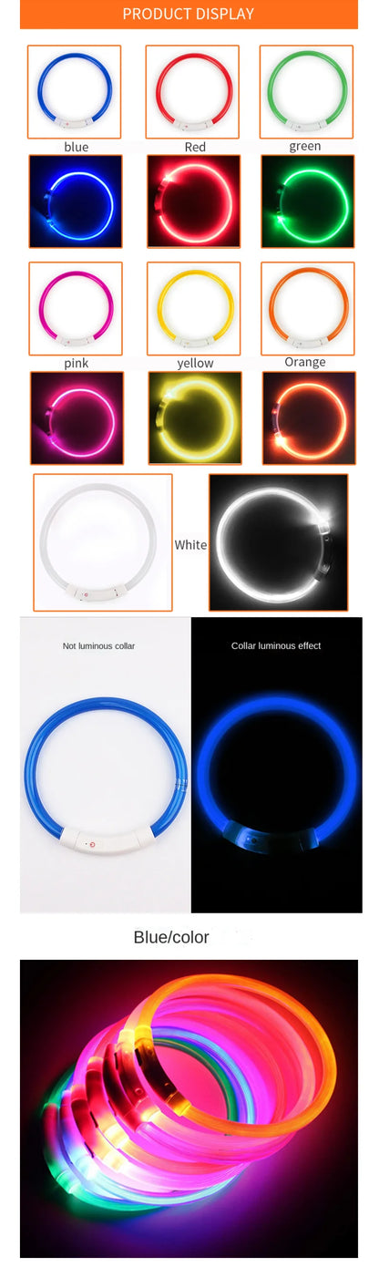 LED USB Rechargeable Dog Collar — Night Safety Glow