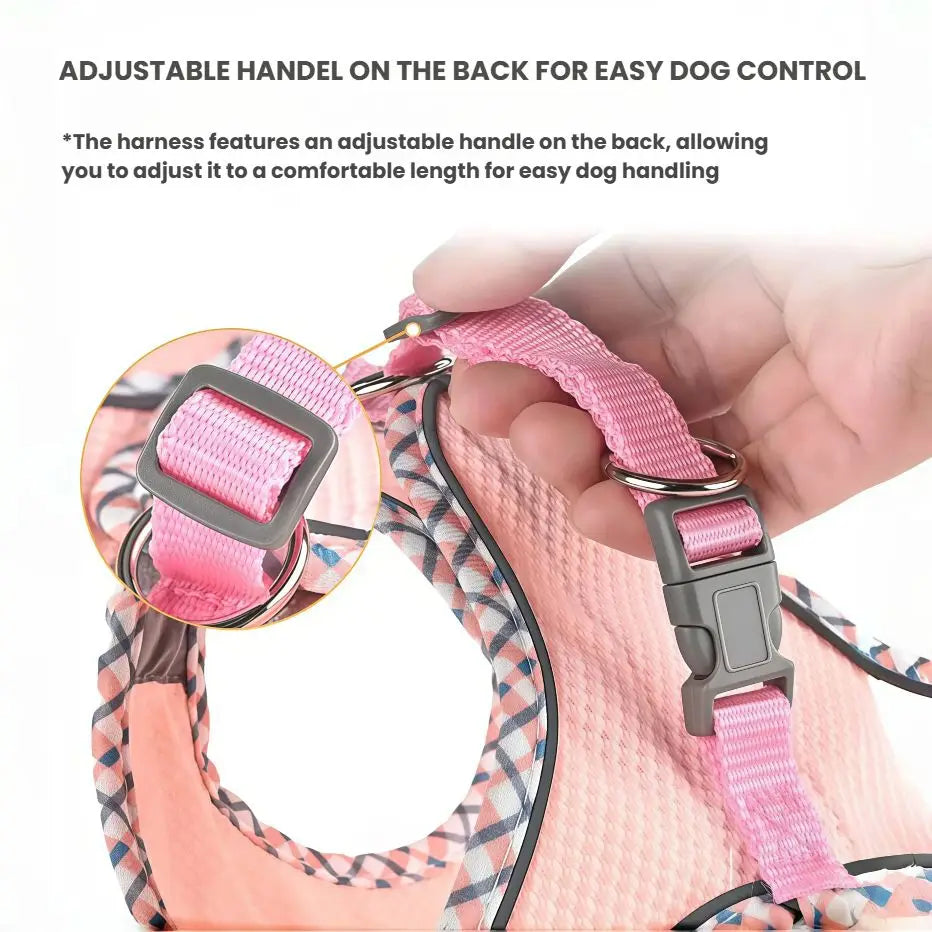 Reflective Dog Harness & Leash Set – Breathable Mesh Vest for Small & Medium Dogs