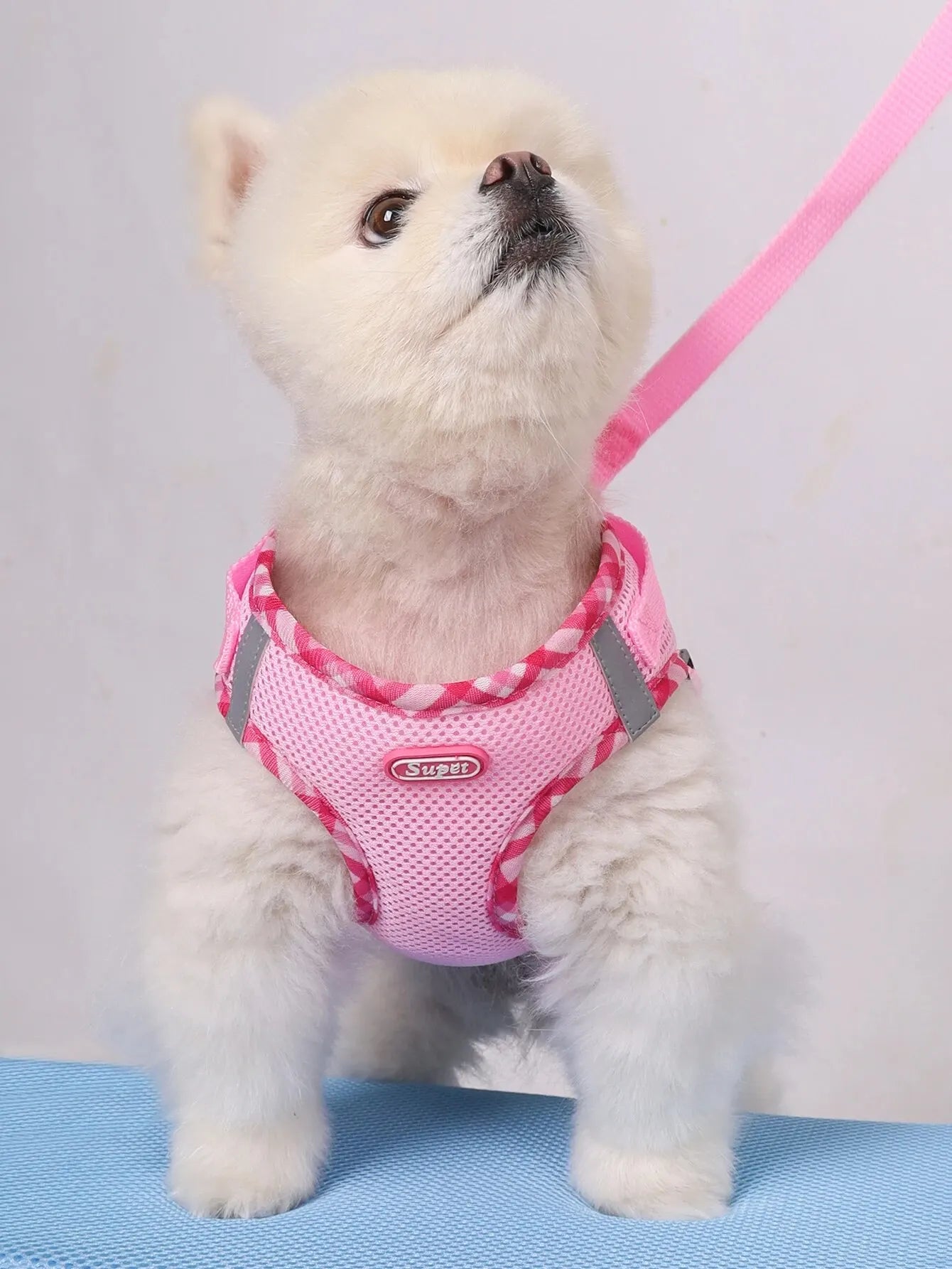 Supet Anti-Pull Dog Harness — Adjustable for Small & Medium Dogs