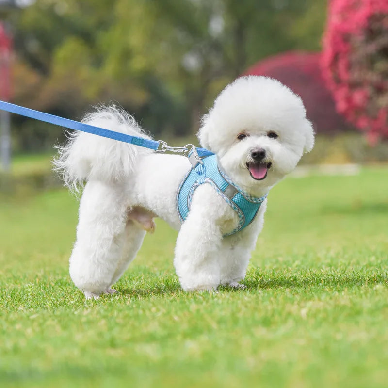 Reflective Dog Harness & Leash Set – Breathable Mesh Vest for Small & Medium Dogs