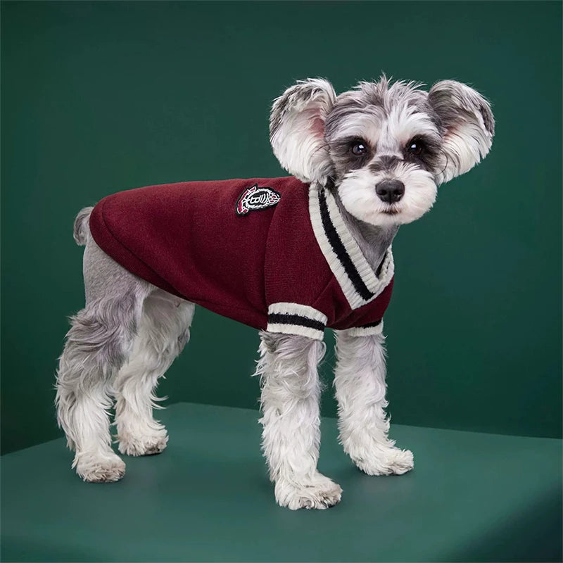 Cozy Knit Pet Sweater