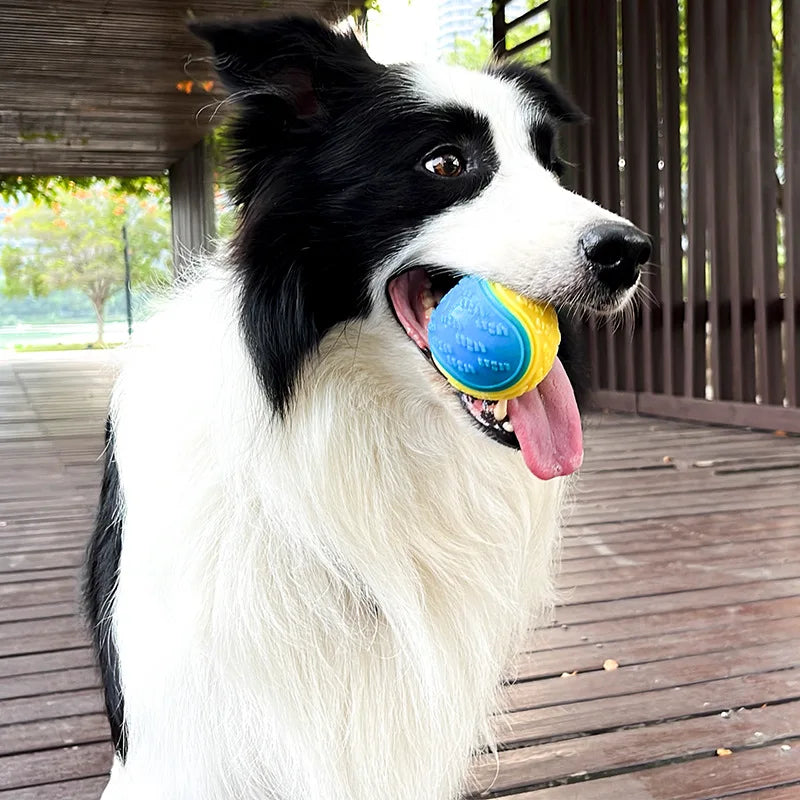 Squeaky TPR Dog Ball Toy — Teeth Cleaning & Bite Resistant