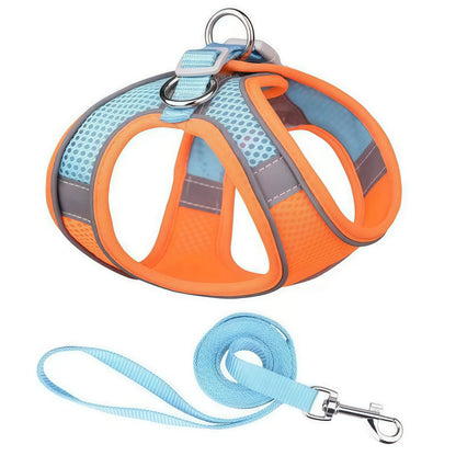 Reflective Dog Harness & Leash Set – Breathable Mesh Vest for Small & Medium Dogs