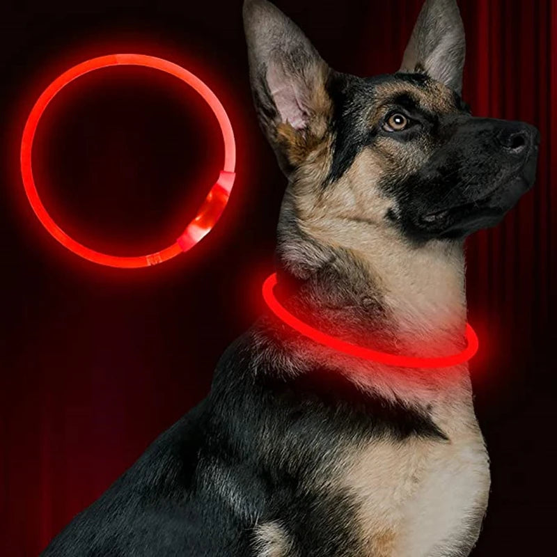 LED USB Rechargeable Dog Collar — Night Safety Glow