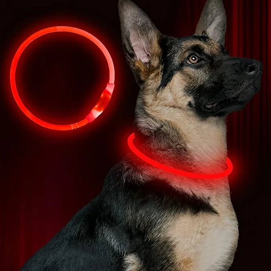 LED USB Rechargeable Dog Collar — Night Safety Glow