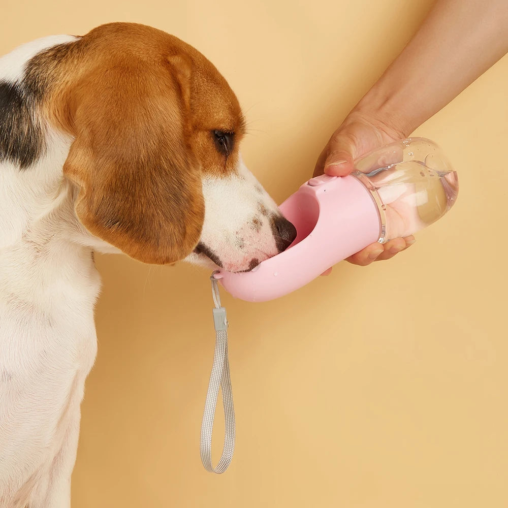 Travel Pet Water Bottle